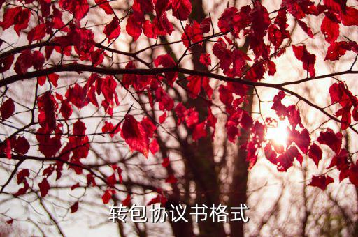 工程轉(zhuǎn)包個人協(xié)議書模板，建筑工程轉(zhuǎn)包合同范本是怎樣的