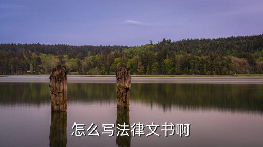 標準的法律文書的模板怎么寫，怎么寫法律文書啊
