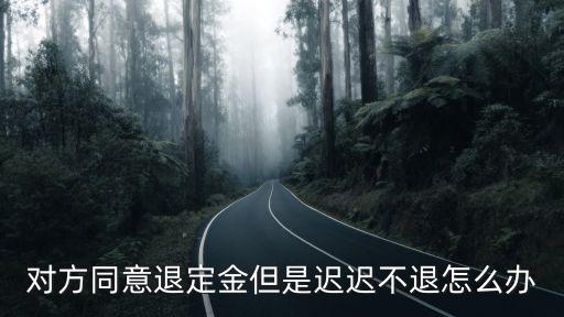 答應(yīng)退定金了拖著不給怎么辦，對方同意退定金但是遲遲不退怎么辦