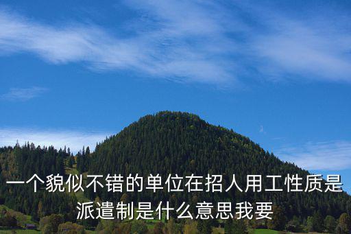 假外包真派遣是什么意思，派遣是什么意思