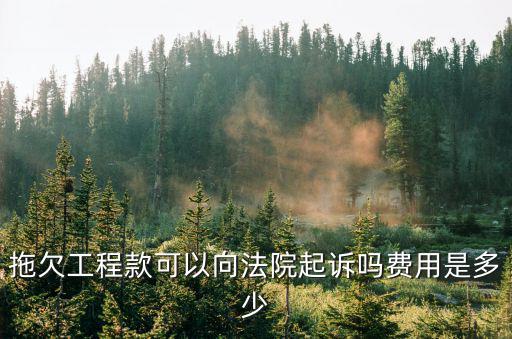 拖欠工程款可以向法院起訴嗎費用是多少