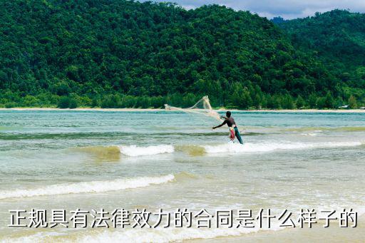 正規(guī)具有法律效力的合同是什么樣子的