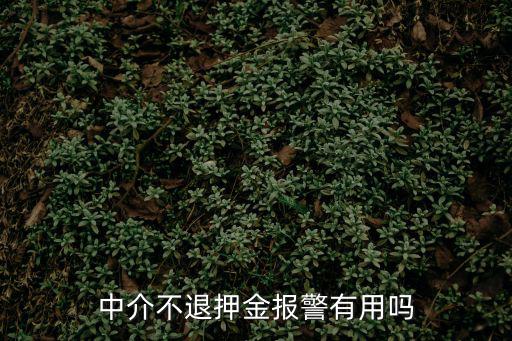中介不退押金報(bào)警有用嗎