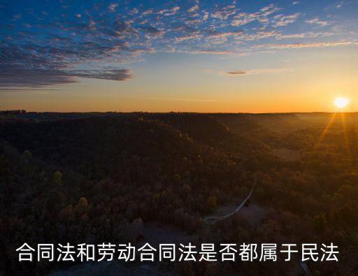合同法在民法典里面嗎，勞動(dòng)合同法是否屬于民法