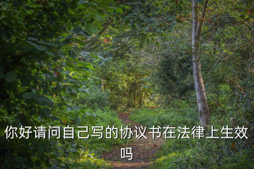 你好請問自己寫的協(xié)議書在法律上生效嗎