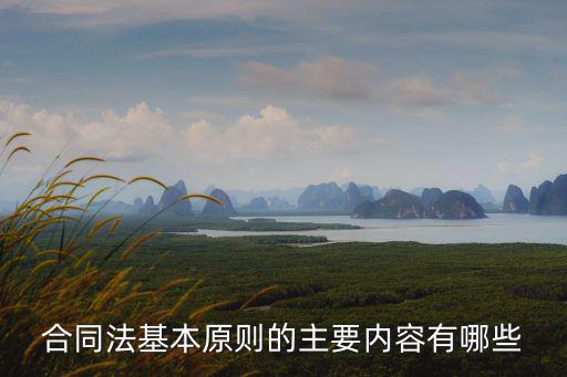合同法基本原則的主要內(nèi)容有哪些