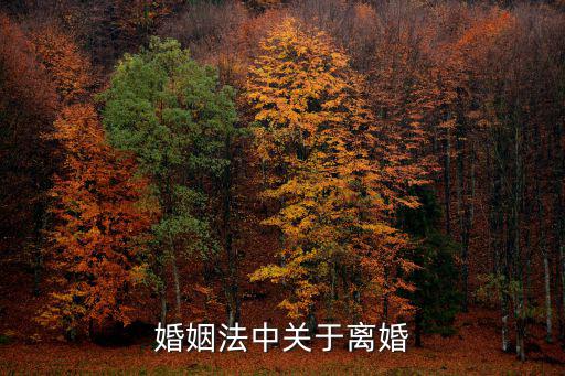 婚姻法中關(guān)于離婚