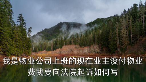 我是物業(yè)公司上班的現(xiàn)在業(yè)主沒(méi)付物業(yè)費(fèi)我要向法院起訴如何寫