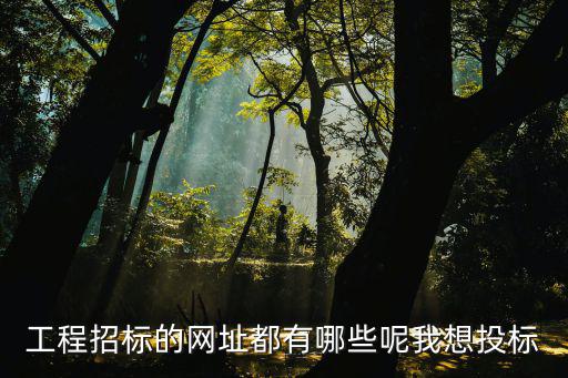 工程招標(biāo)網(wǎng)，云南省施工招標(biāo)信息一般在哪個(gè)網(wǎng)站上發(fā)布