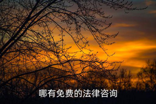 不收費律師咨詢，律師為何不收咨詢費