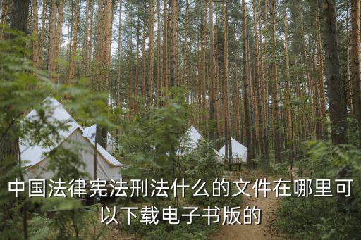 中國法律憲法刑法什么的文件在哪里可以下載電子書版的
