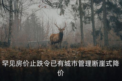 政府為什么要下止跌令，為什么政府不想恢復T0和無漲跌幅限制