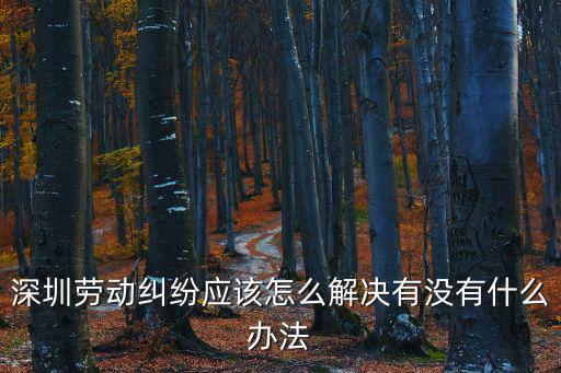 深圳勞動(dòng)糾紛應(yīng)該怎么解決有沒(méi)有什么辦法
