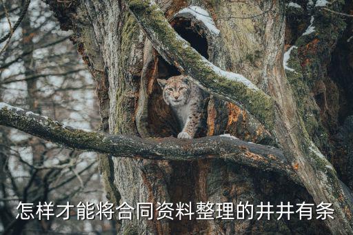 檔案資料整理補(bǔ)充合同，這樣的情況檔案中勞動(dòng)合同是否需要補(bǔ)齊