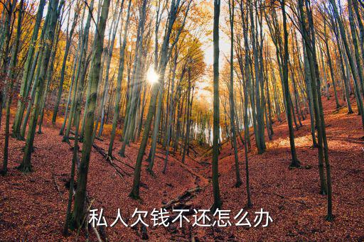 私人欠錢不還怎么辦最有效，私人欠錢不還怎么辦