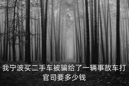 我寧波買二手車被騙給了一輛事故車打官司要多少錢