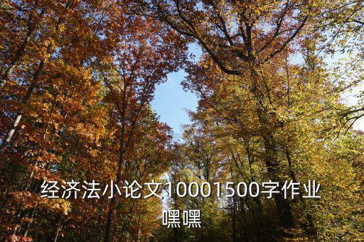 經(jīng)濟法小論文10001500字作業(yè)嘿嘿