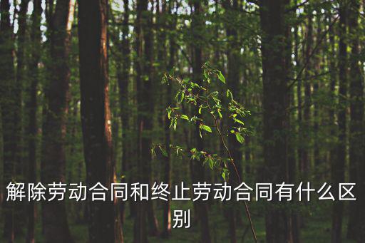 解除勞動(dòng)合同和終止勞動(dòng)合同有什么區(qū)別