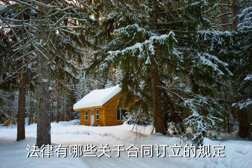 合同訂立法條，合同法律條文咨詢
