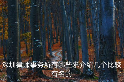 深圳最有名的律師，深圳律師事務(wù)所有哪些求介紹幾個比較有名的