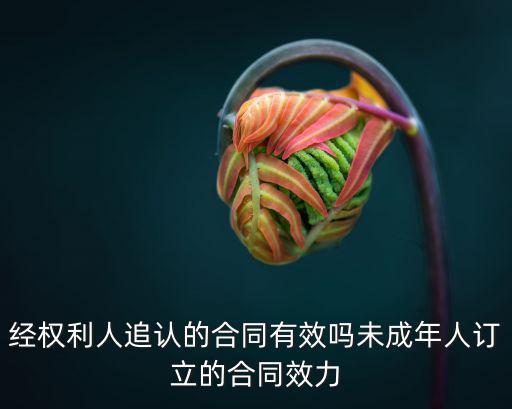 經(jīng)權(quán)利人追認(rèn)的合同有效嗎未成年人訂立的合同效力