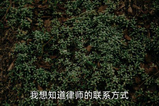 我想知道律師的聯(lián)系方式