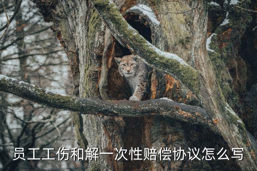 員工工傷和解一次性賠償協(xié)議怎么寫