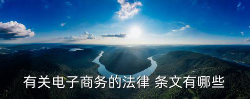 有關(guān)電子商務(wù)的法律 條文有哪些