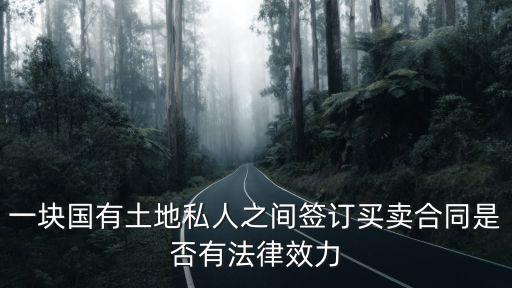 一塊國(guó)有土地私人之間簽訂買賣合同是否有法律效力