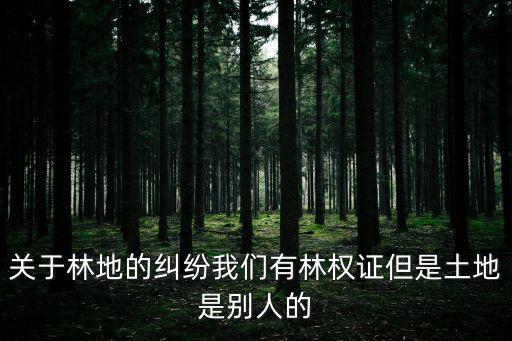 關(guān)于林地的糾紛我們有林權(quán)證但是土地是別人的
