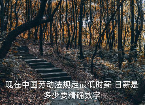 現(xiàn)在中國勞動法規(guī)定最低時薪 日薪是多少要精確數(shù)字