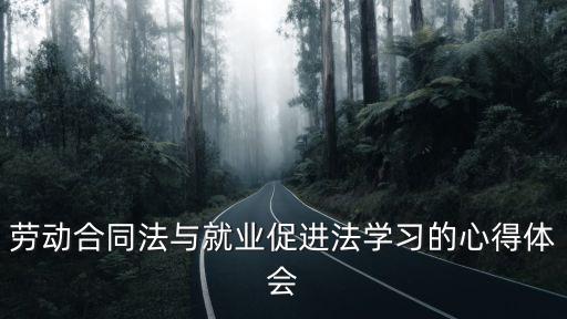 勞動(dòng)合同法與就業(yè)促進(jìn)法學(xué)習(xí)的心得體會(huì)