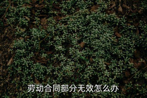 無效勞動合同如何處理，勞動合同無效怎么辦