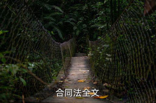 合同法法律條文最新規(guī)定，合同法全文