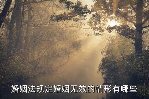 民法典草案婚姻無效的規(guī)定，什么是無效婚姻