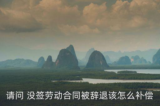 未簽合同無故被辭退怎么賠償，沒有簽訂勞動(dòng)合同被公司無故解雇怎么賠償