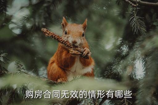 什么情況購(gòu)房合同無(wú)效，哪些情況下購(gòu)房合同會(huì)被判無(wú)效