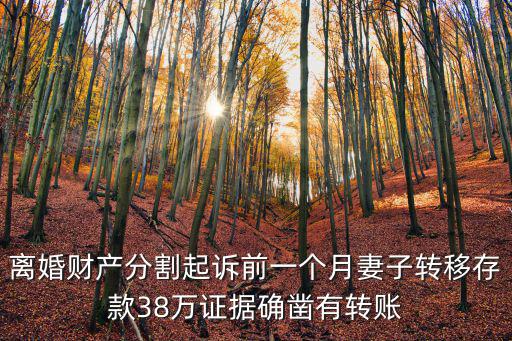 離婚財產(chǎn)分割起訴前一個月妻子轉(zhuǎn)移存款38萬證據(jù)確鑿有轉(zhuǎn)賬