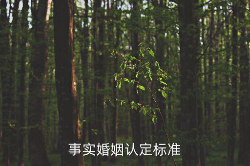 事實夫妻關(guān)系的認(rèn)定，如何認(rèn)定事實婚姻的