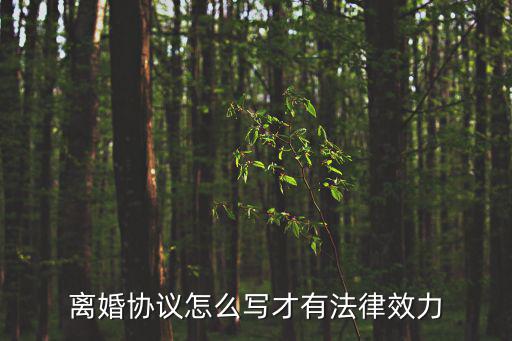 離婚協(xié)議怎么寫才有法律效力