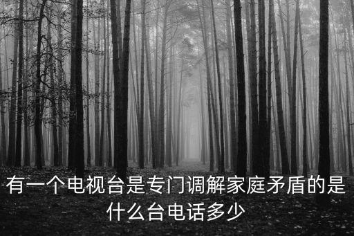 有一個(gè)電視臺(tái)是專(zhuān)門(mén)調(diào)解家庭矛盾的是什么臺(tái)電話(huà)多少