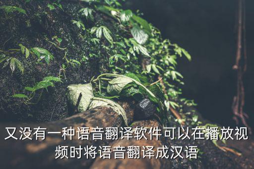 又沒有一種語音翻譯軟件可以在播放視頻時(shí)將語音翻譯成漢語