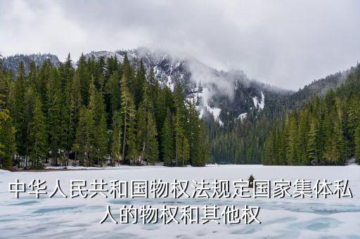 中華人民共和國物權(quán)法規(guī)定國家集體私人的物權(quán)和其他權(quán)