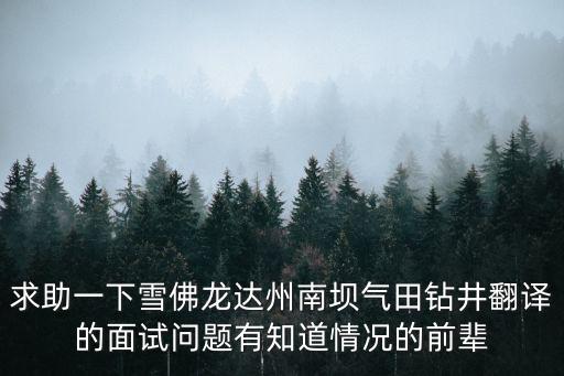 求助一下雪佛龍達(dá)州南壩氣田鉆井翻譯的面試問題有知道情況的前輩