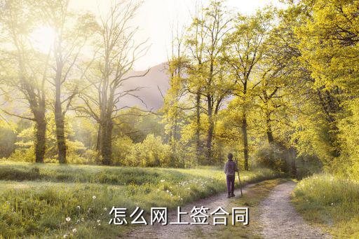 怎樣在電子合同上簽字，電子合同怎么簽