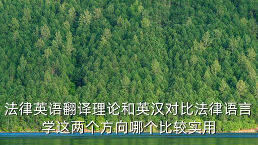 法律英語翻譯理論和英漢對比法律語言學(xué)這兩個方向哪個比較實用