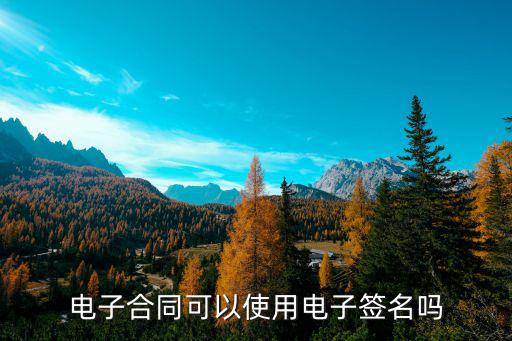 電子合同和電子簽名的案例，提供在線電子合同簽名服務(wù)的創(chuàng)業(yè)公司有哪些