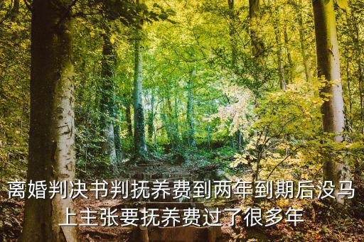離婚判決書(shū)判撫養(yǎng)費(fèi)到兩年到期后沒(méi)馬上主張要撫養(yǎng)費(fèi)過(guò)了很多年