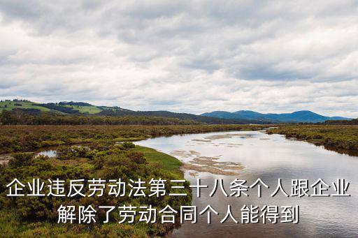 企業(yè)違反勞動法第三十八條個人跟企業(yè)解除了勞動合同個人能得到