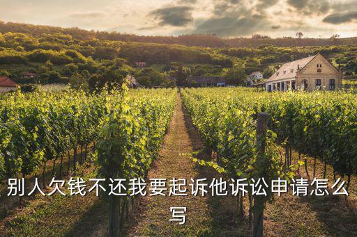 別人欠錢不還我要起訴他訴訟申請怎么寫